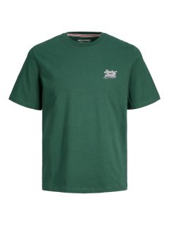 Jack & Jones - Trevor T-Shirt - Grøn (1)