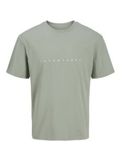 Jack & Jones - Star T-Shirt Iceberg Green (1)