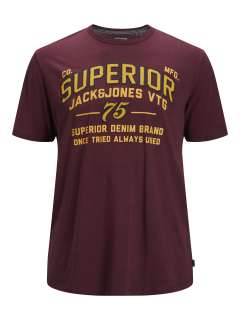 Jack & Jones - Applicate T-Shirt (2)
