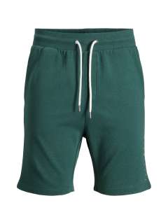 Jack & Jones - Font Jogging Shorts Grøn (1)