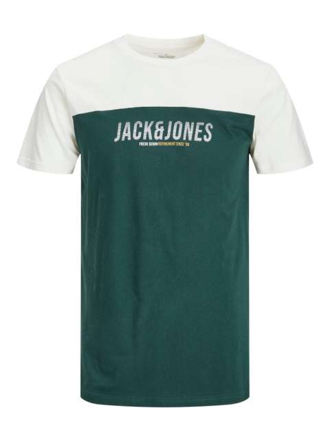 Jack & Jones - Dan Blocking T-Shirt Pine/Hvid billede 1