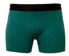 Stolen Denim - Bambus Bokser Shorts (4)