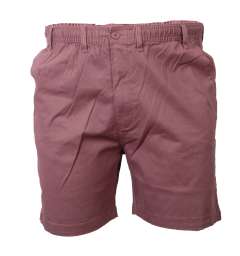 Espionage - Stretch Twill Shorts (3)