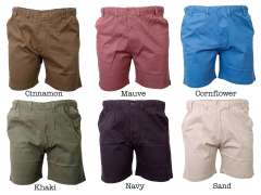 Espionage - Stretch Twill Shorts (1)